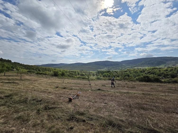 Teren de 6500 mp, în Central
