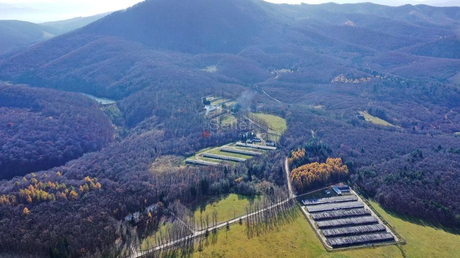 Teren Construcții intravilan de 186000 mp, în Exterior Vest