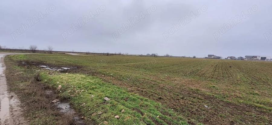 Teren de 600 mp, în Berceni