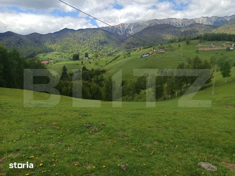 Teren de 4649 mp, în Peștera