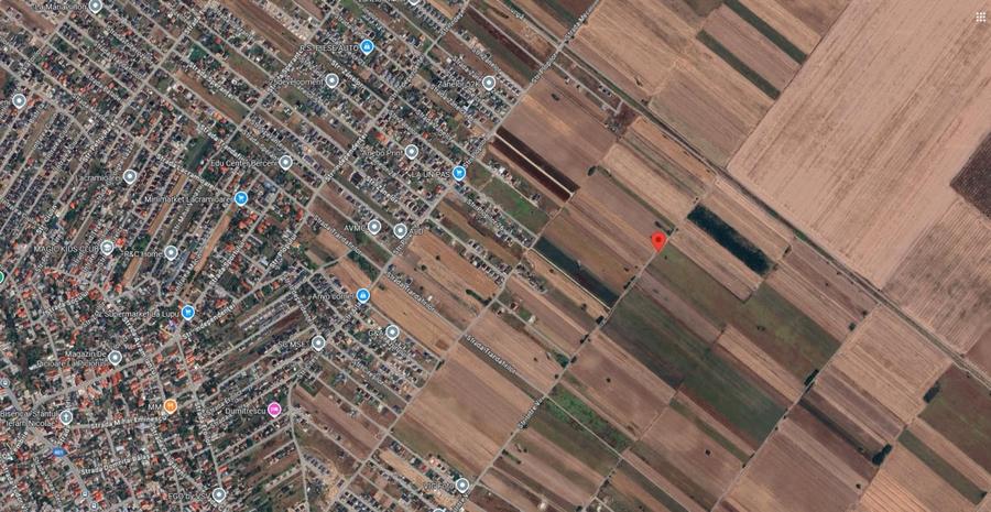 Teren agricol extravilan de 12442 mp, în Berceni