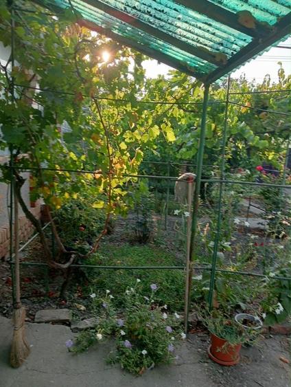 Casă cu 3 camere în Checea