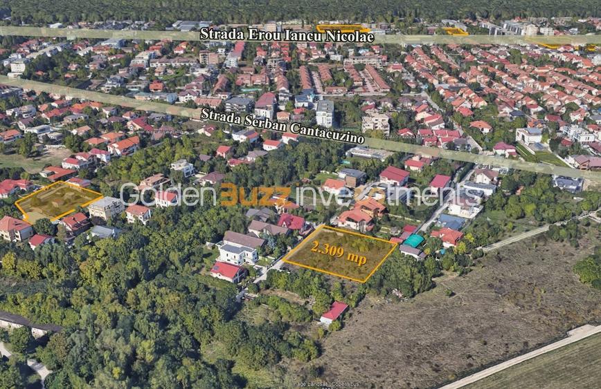 Teren Construcții intravilan de 2309 mp, în Iancu Nicolae
