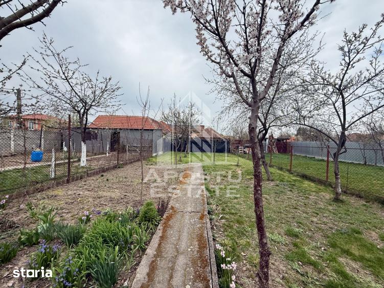 Casa individuala cu 6 camere de vanzare zona Plopi Timisoara - 5