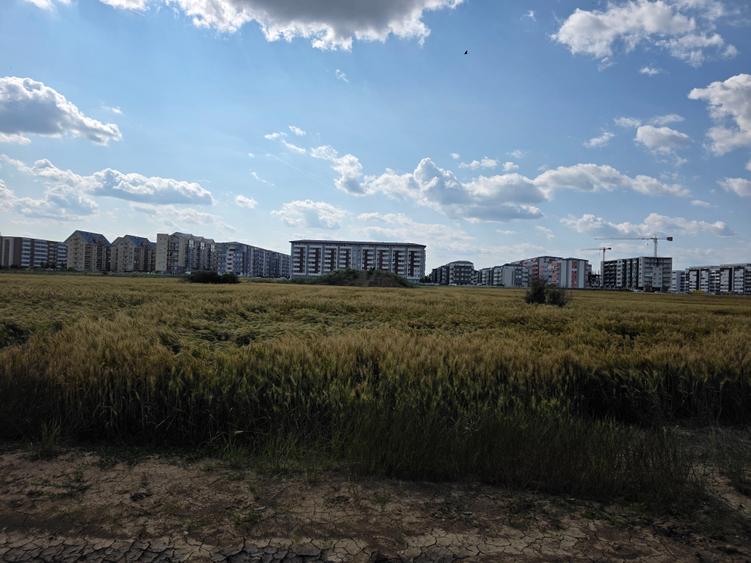 Teren Construcții intravilan de 12651 mp, în Sud