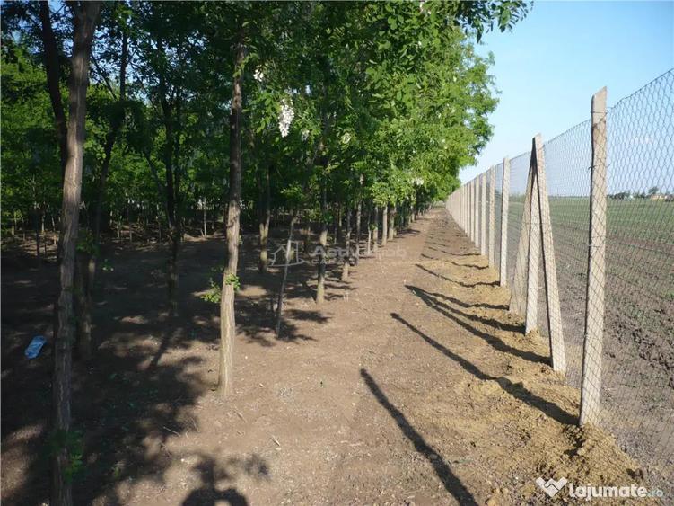 Casă cu 5 camere cu Teren 7241 Mp în Central