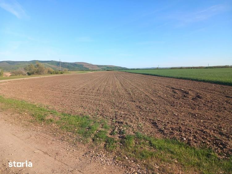 Teren de 11000 mp, în Ghioroc