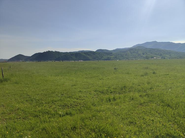 Teren Construcții intravilan de 1000 mp, în Glăjărie