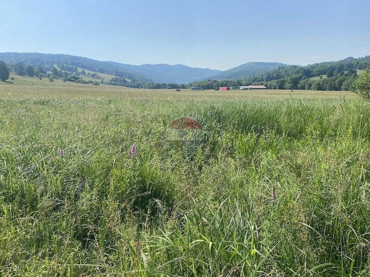 Teren de 4306 mp, în Vama Buzăului