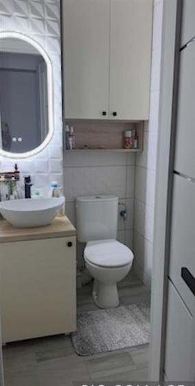 Apartament cu 2 camere nedecomandat, mobilat în Alexandru cel Bun