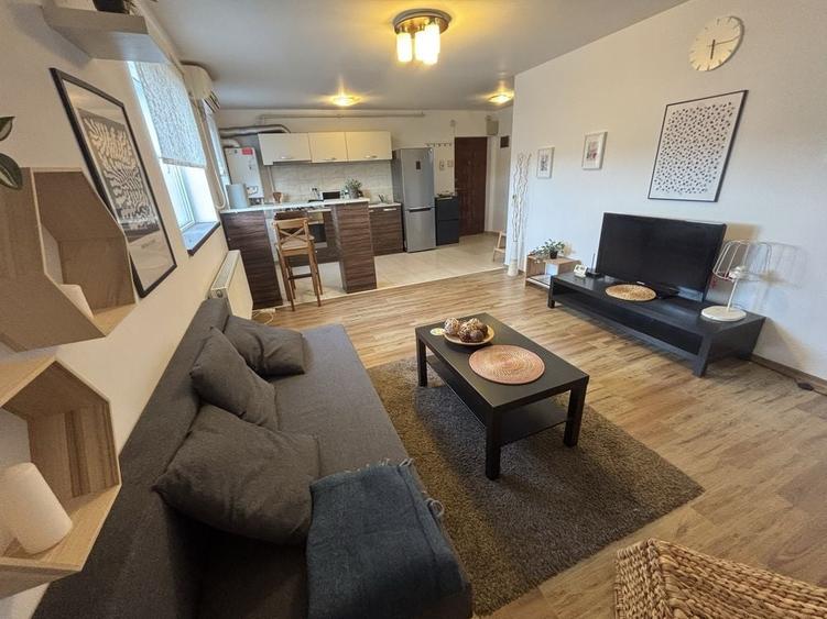 Apartament cu 2 camere în Roșu