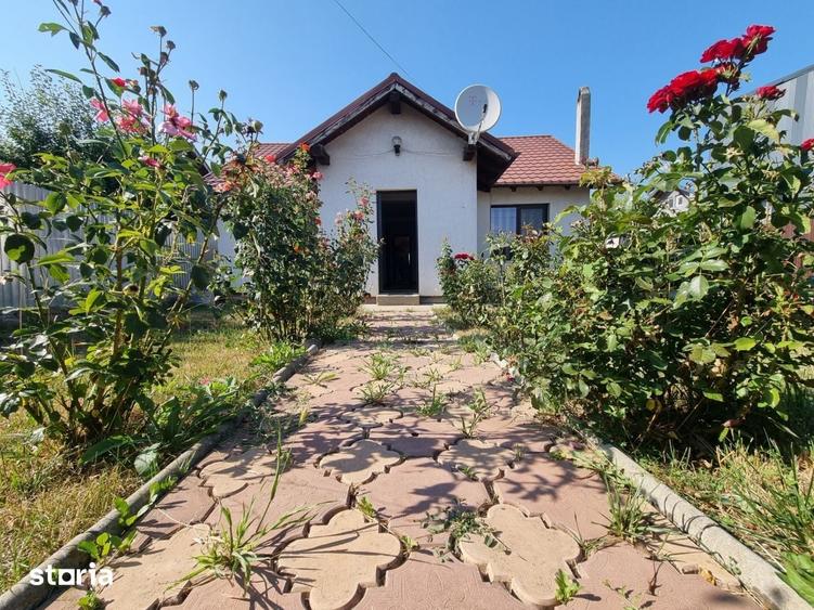 Casa cu trandafiri din Letea Veche, constructie 2013 - 1