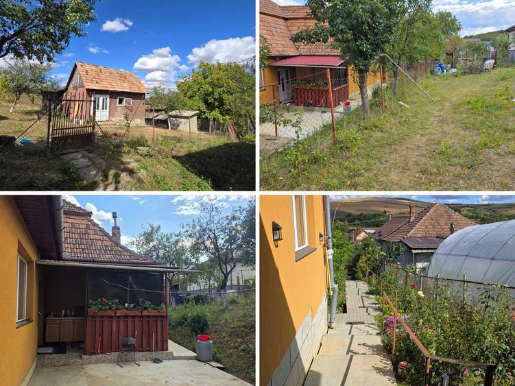 Casă cu 3 camere în Central