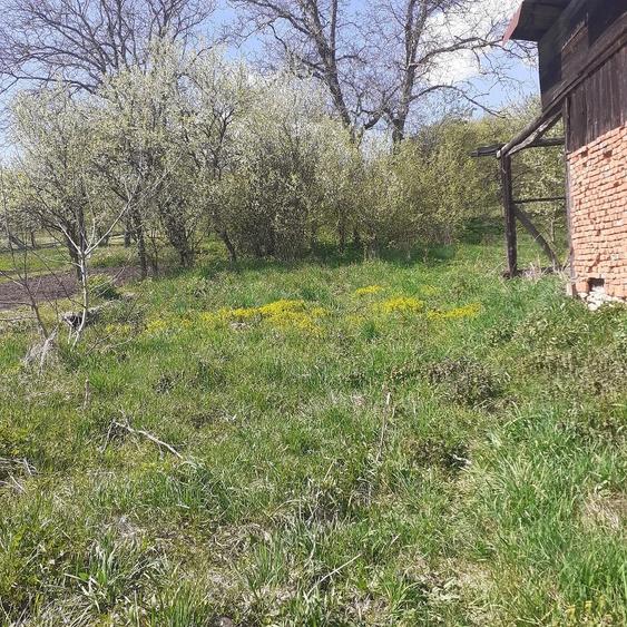 Casă cu 2 camere cu Teren 3506 Mp în Topa Mică