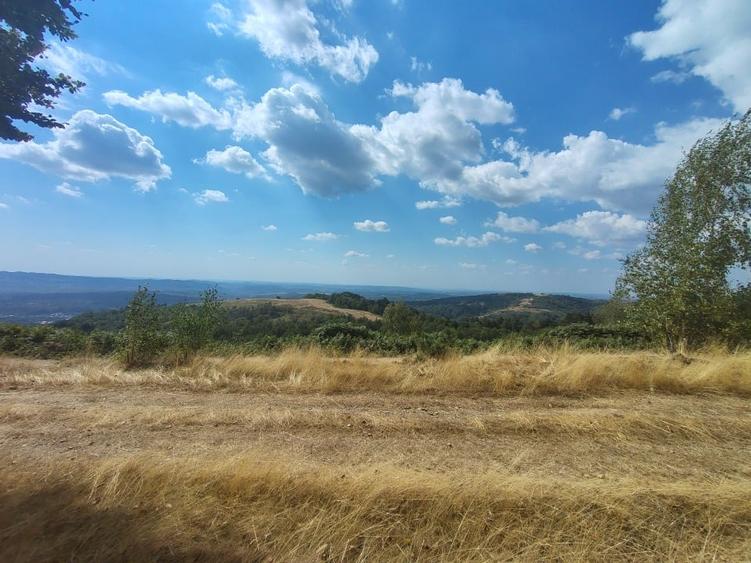 Teren Construcții extravilan de 8000 mp, în Central
