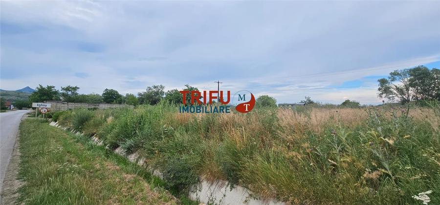 Teren Construcții intravilan de 9087 mp, în Ighiu