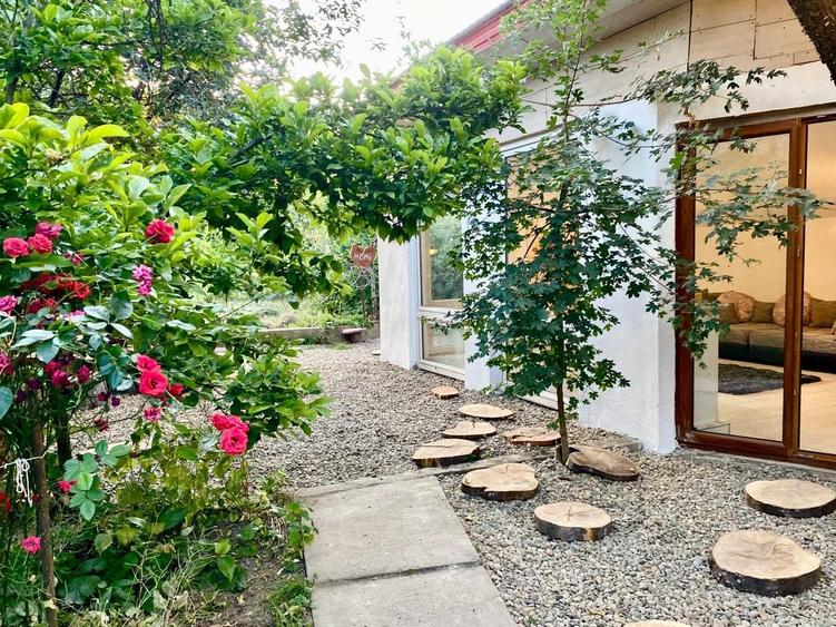 Casa mobilata si renovata refugiu artistic si business potential acum redus la 59.000 in Moneasa - VANZARE URGENTA - 5