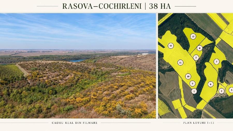 Teren extravilan de 380000 mp, în Rasova
