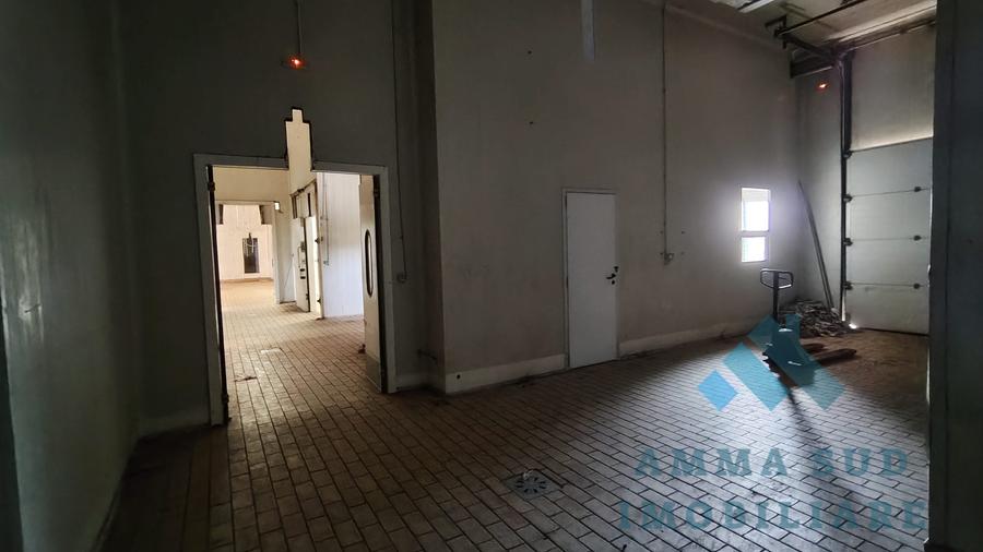 Spațiu industrial, de 1,000 mp, în Popești-Leordeni