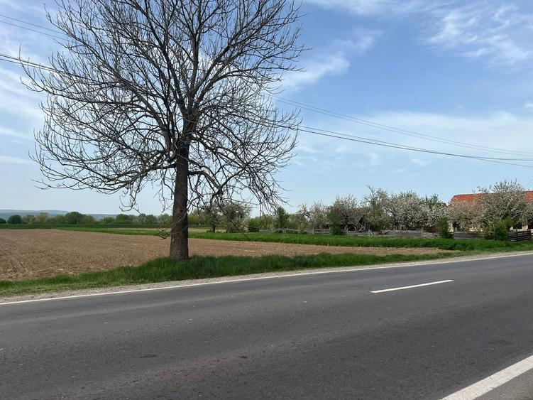 Teren Construcții intravilan de 2400 mp, în Lunca Calnicului