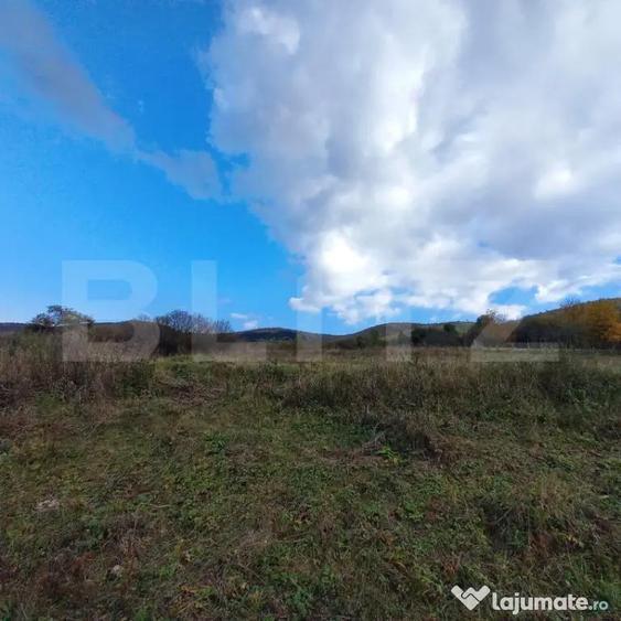 Teren de 15000 mp, în Ciurila