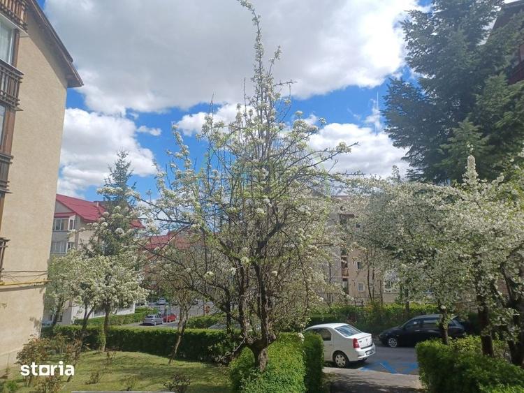 Apartament cu 2 camere în Valea Cetății