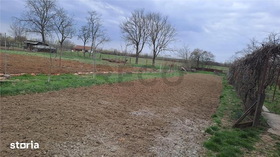 Casă cu 2 camere cu Teren 1000 Mp în Cefa