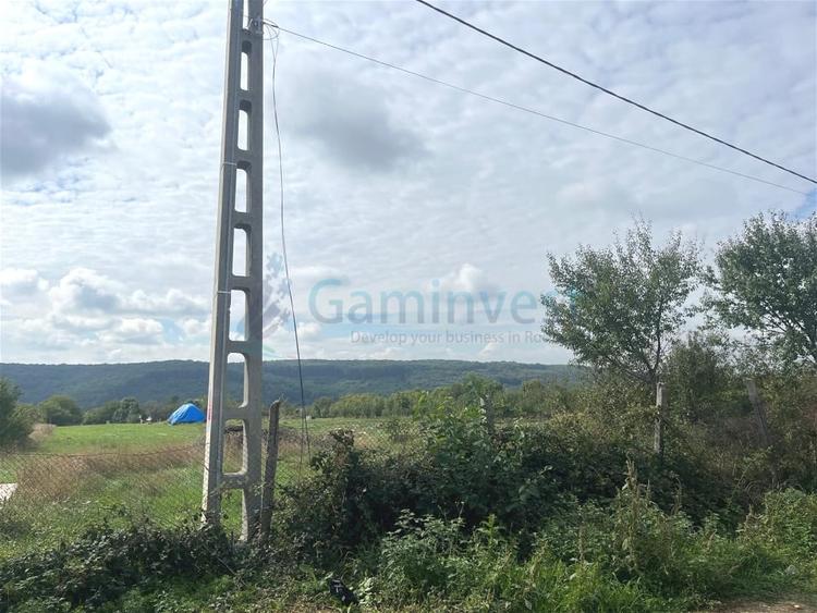 Teren Construcții intravilan de 3250 mp, în Betfia