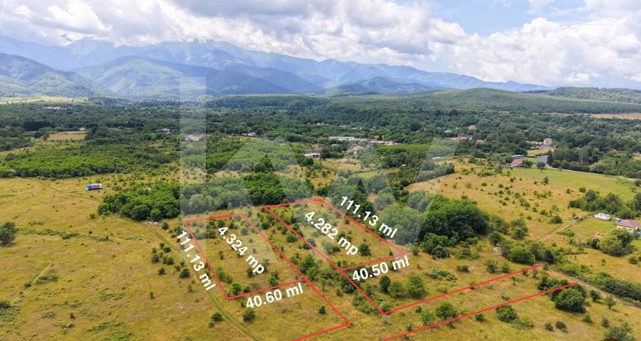 Teren agricol extravilan de 8606 mp, în Avrig