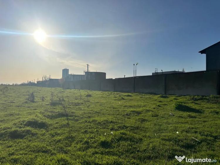 Teren Intravilan de vanzare | Fabrica de Ulei Constan?a | - 5