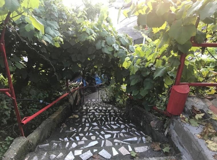 Casă individuală cu 3 camere cu Teren 400 Mp în Aluniș