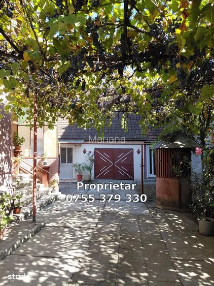 Vand Casa cu 2 construc?ii, garaj, beci, anexe, teren 655 mp Hunedoara