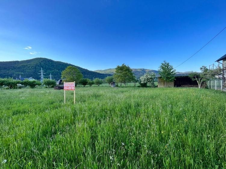 Teren de 1780 mp, în Pângărați