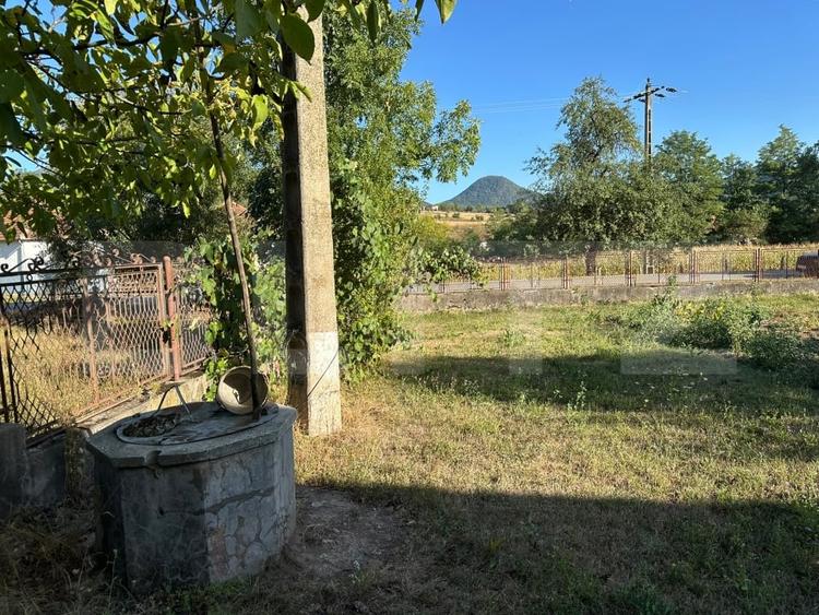 Casă individuală cu 7 camere cu Teren 7247 Mp în Hărțăgani