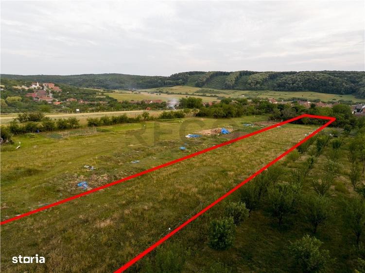 RECO Teren intravilan de vanzare Betfia, Bihor - 3000 mp, front strada - 1