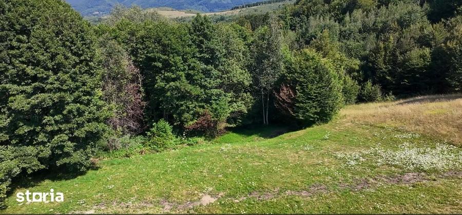 Teren de 5000 mp, în Șinca