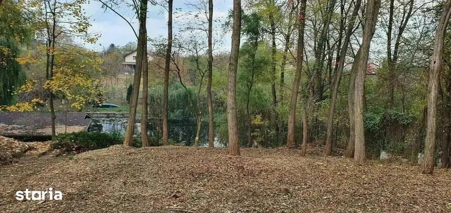 Casă cu 6 camere cu Teren 4700 Mp în Gruiu