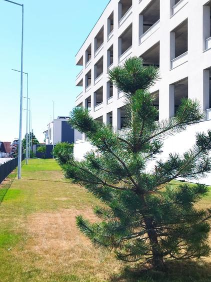 Apartament cu 2 camere în Boreal