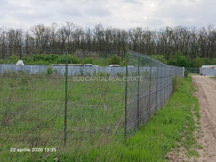 Teren Construcții intravilan de 900 mp, în Cernica