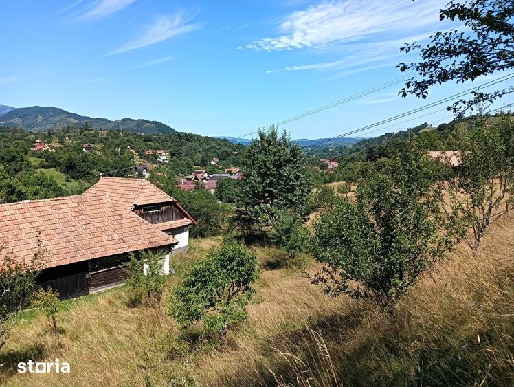 Teren de 3980 mp, în Bran