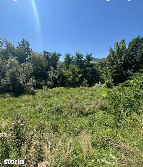 Teren de 1300 mp, în Sadu