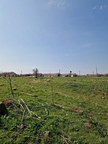 Teren agricol extravilan de 79106 mp, în Exterior Est