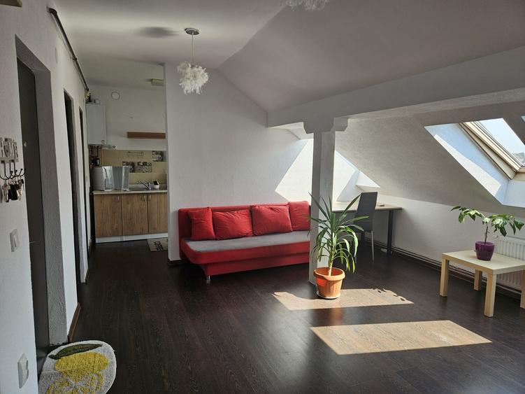 Apartament cu 2 camere semidecomandat în Turnișor
