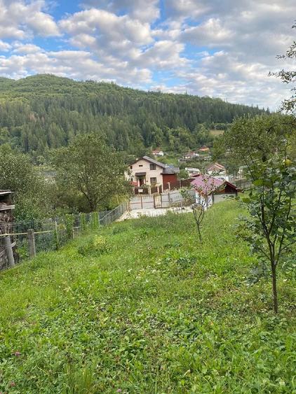 Vand teren intravilan Bicaz - 3