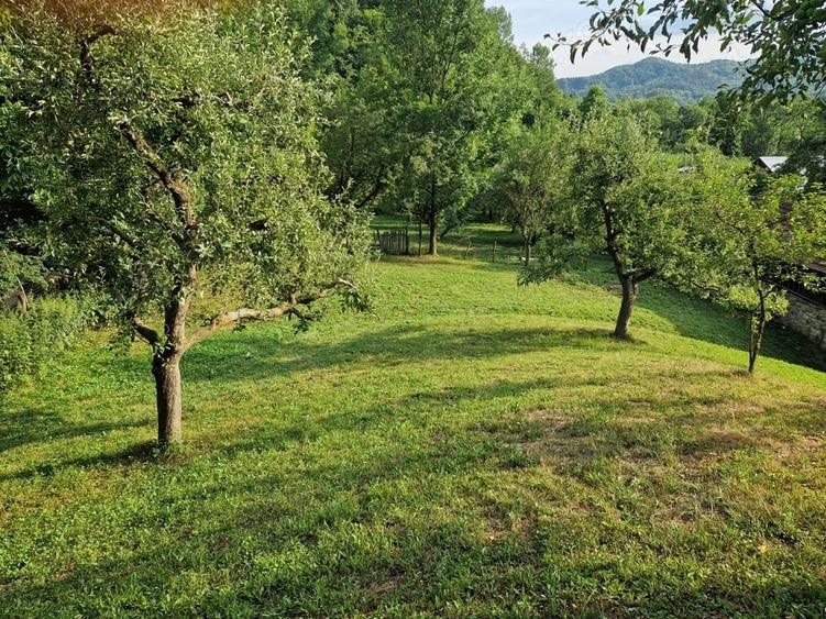 Teren de 20000 mp, în Central