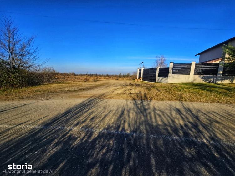 Teren intravilan 2.000 mp Seciu, 2 deschideri, Priveli?te panoramica - 12
