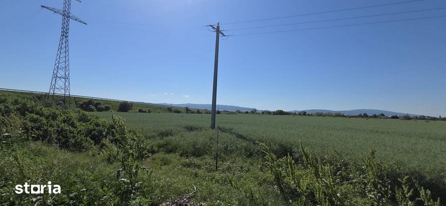Teren de 5255 mp, în Central