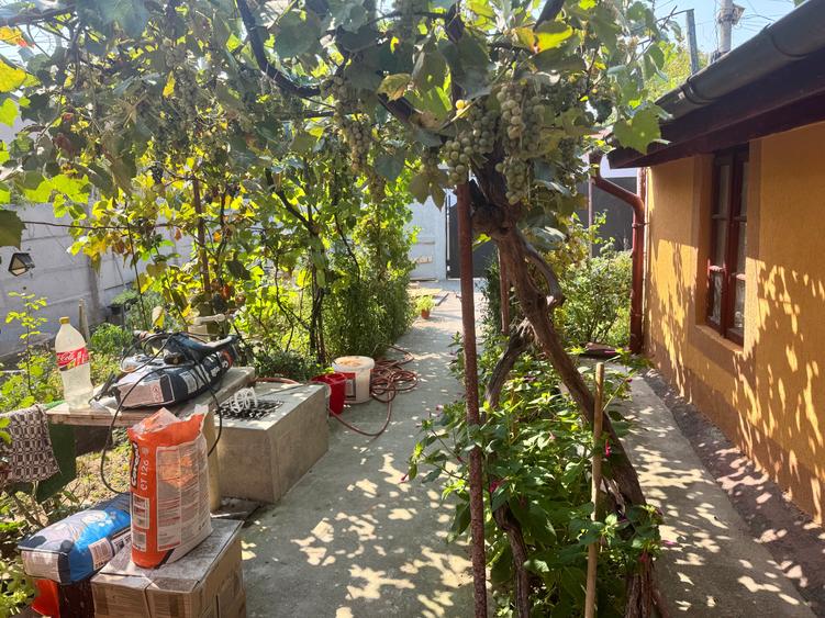 Casă individuală cu 3 camere cu Canalizare în Chitila