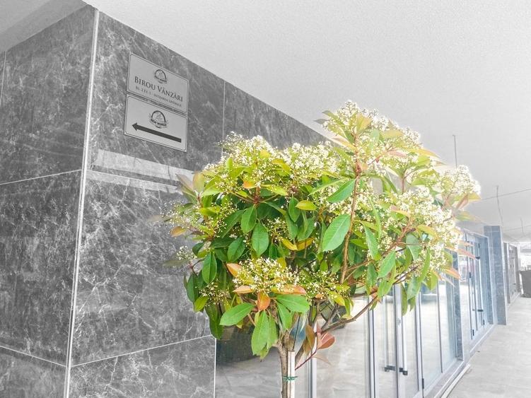 Apartament cu 3 camere semidecomandat în Militari