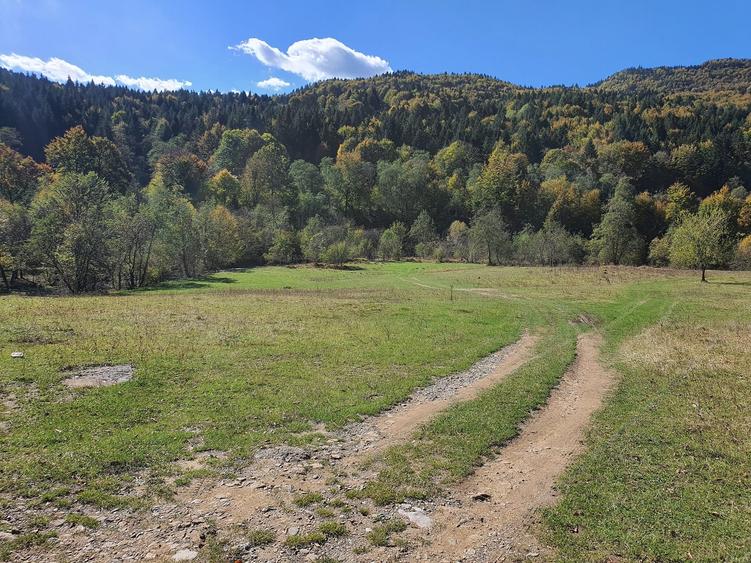 Teren agricol extravilan de 18800 mp, în Babarunca